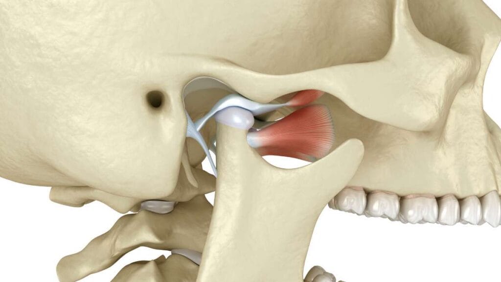 Sakarya çene cerrahisi kliniğinde, çene ekleminin (TME) açılma-kapanma hareketini, eklem diski ve kas yapısını gösteren 3D animasyonun video kapak görseli.