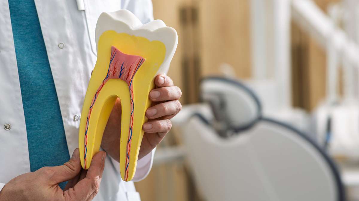 Sakarya diş kliniğinde, kanal tedavisi öncesi hastaya diş maketi üzerinde çürüğün durumu ve yapılacak işlemler hakkında detaylı bilgi veren diş hekimi